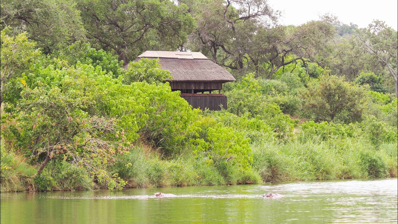 Shipandani Hide - Kruger National Park