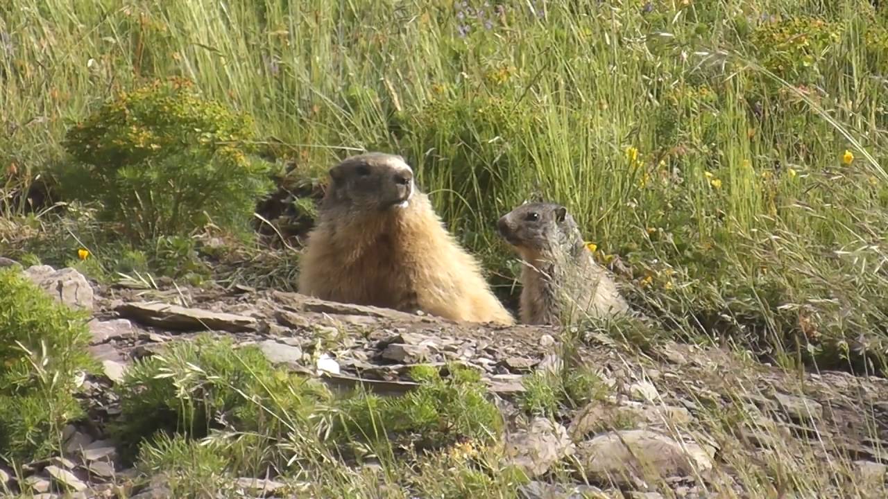 BENASQUE: TRES RUTAS POR EL CORAZÓN DEL PIRINEO