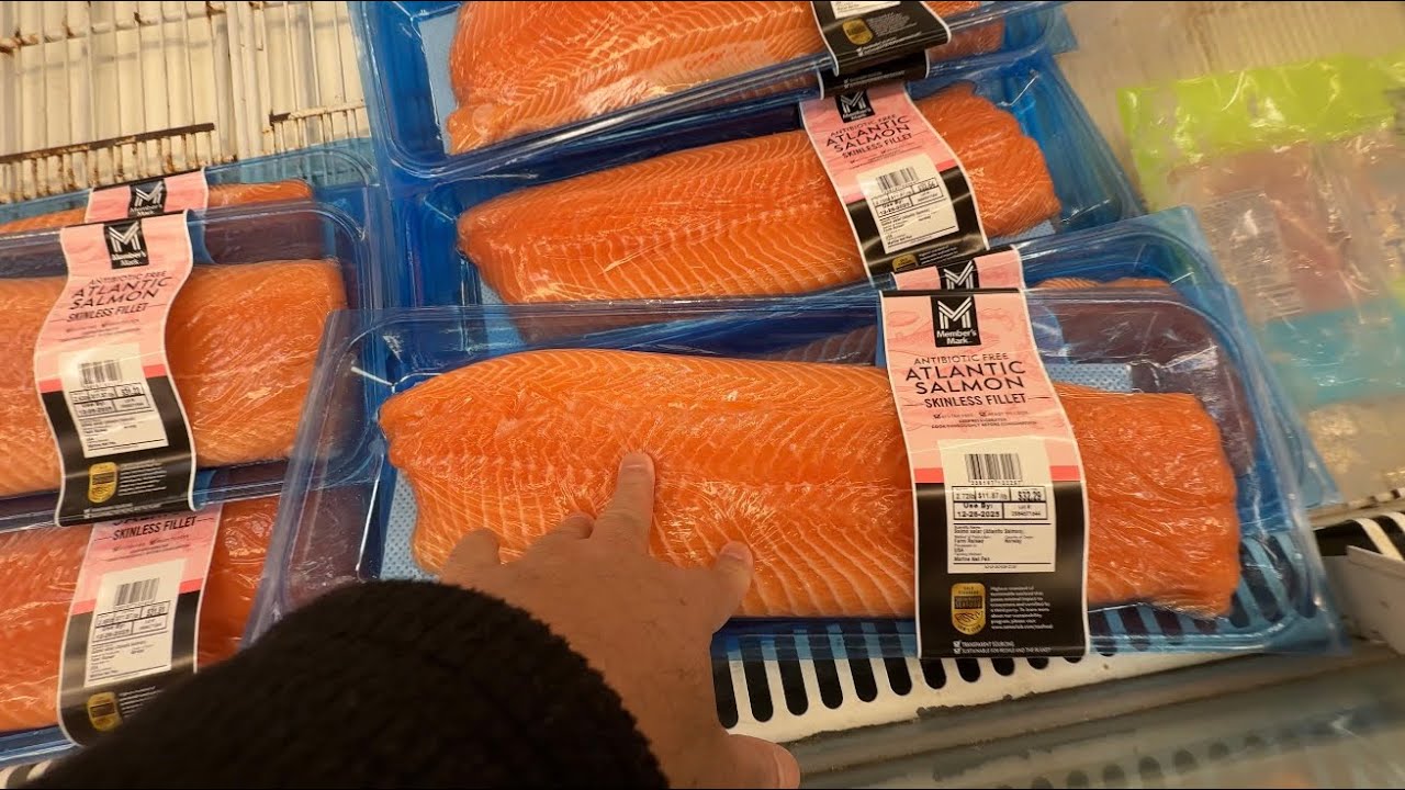 Grocery day out - Huge Variety of Salmon 🐠🐟🇺🇸