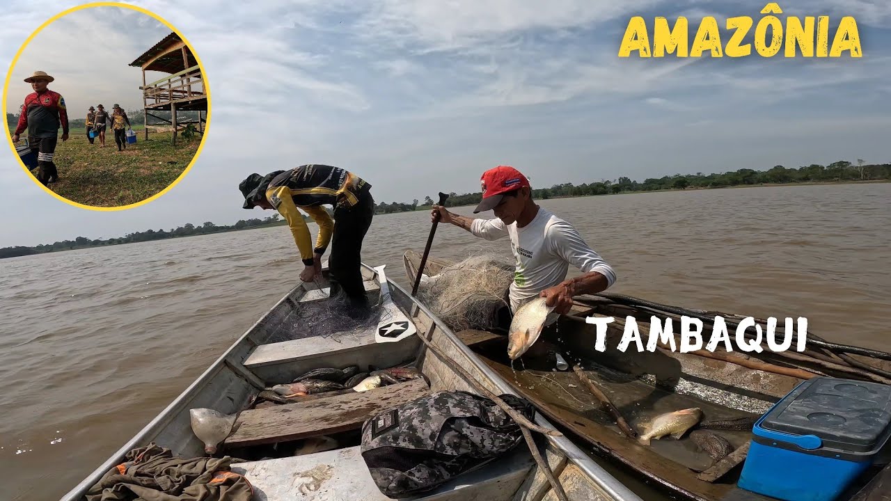 Pescando na SECA do Amazonas / Tem muito PEIXE  nesse LAGO