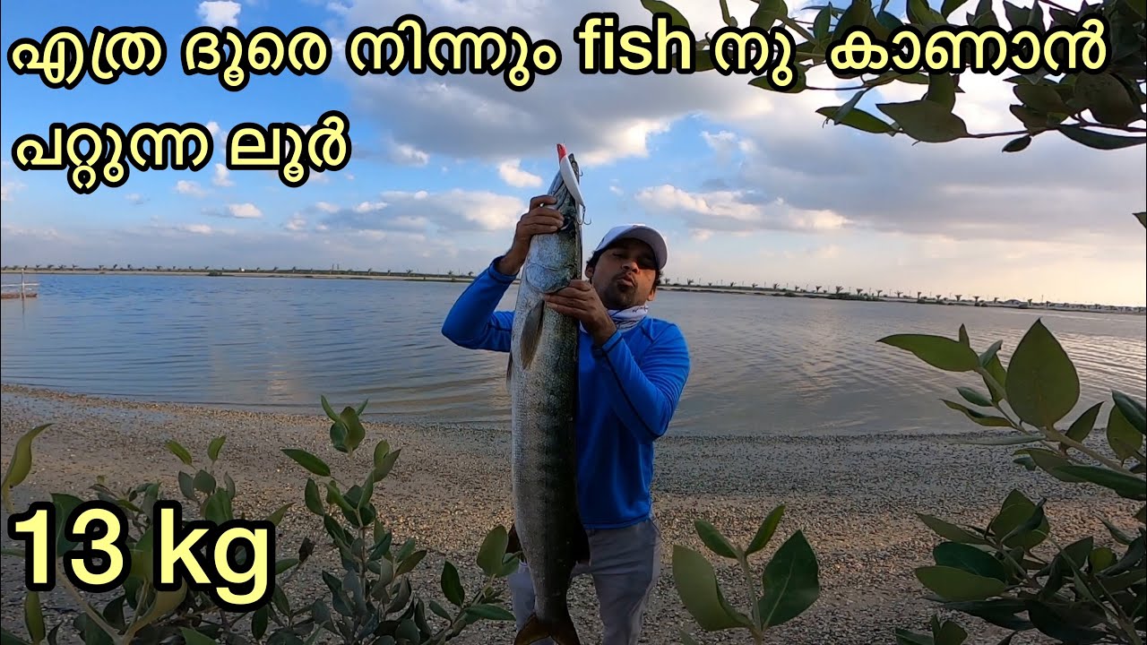 13 kg huge fish at canal.. എത്ര ദൂരെ നിന്നും fish‌ നു കാണാൻ പറ്റുന്ന കിടിലൻ ലൂർ