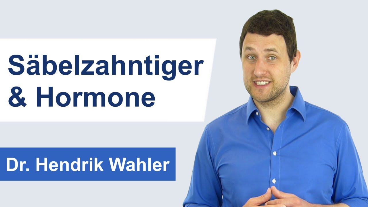 Was passiert bei Stress im Körper? (Der Säbelzahntiger)
