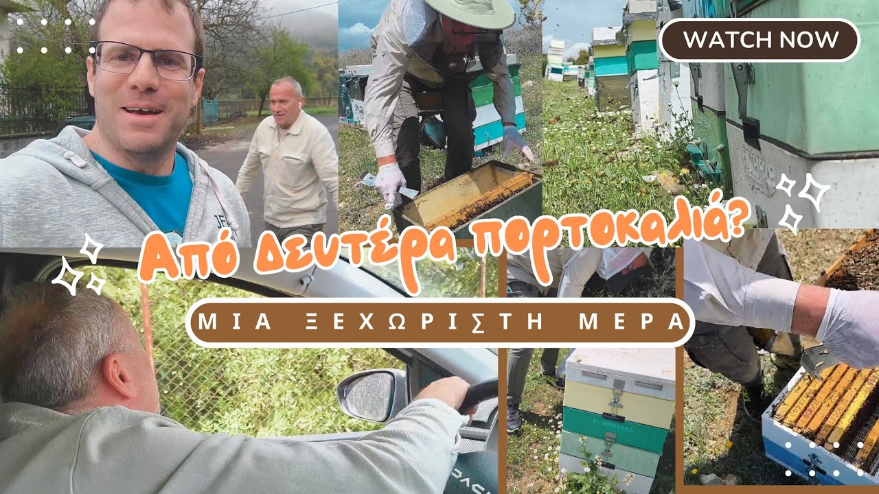 Επιθεώρηση μελισσιων μαζί με μελισσοδάσκαλο