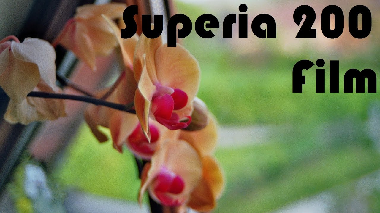 Fujifilm Superia 200 Test with Minolta X300 [HD+]