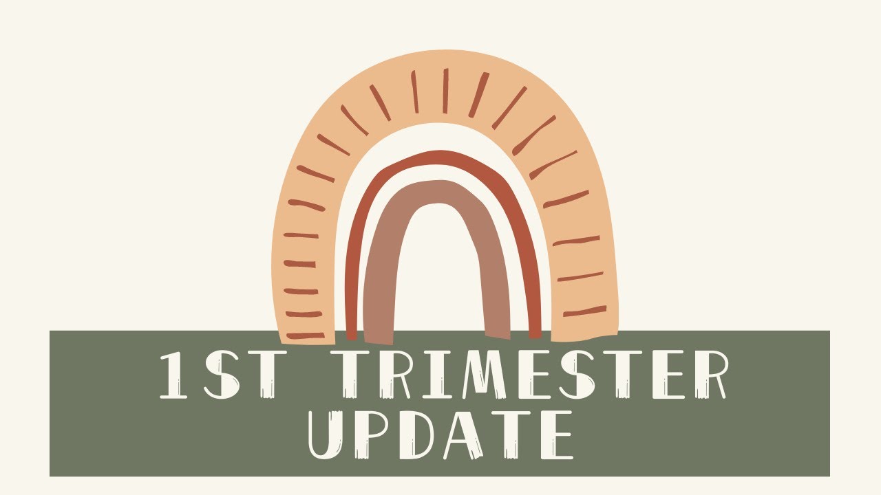 🌈 1st Trimester Update 🌈  0-14周我是如何度过的？做了什么检查？