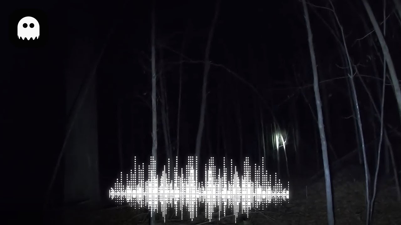 6 Scary and Chilling Sounds Recorded in the Woods