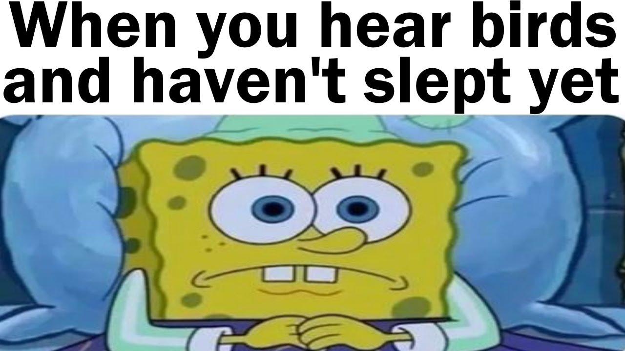 Relatable Memes of Your Life
