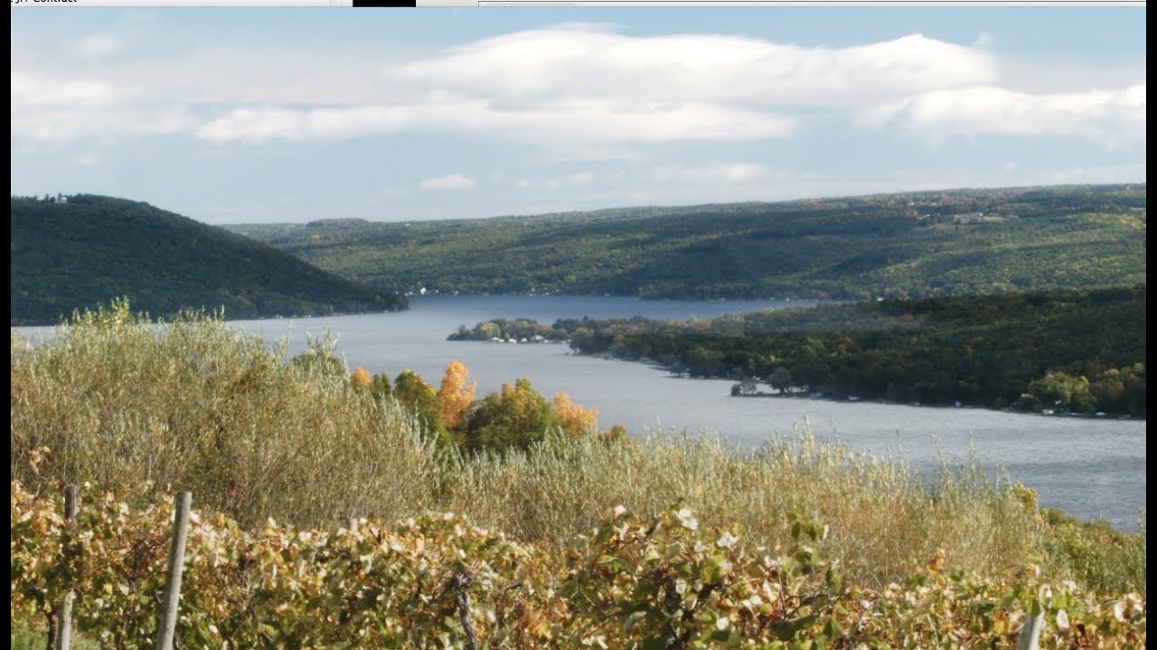 The Finger Lakes Wine Region: Cooperation and Innovation