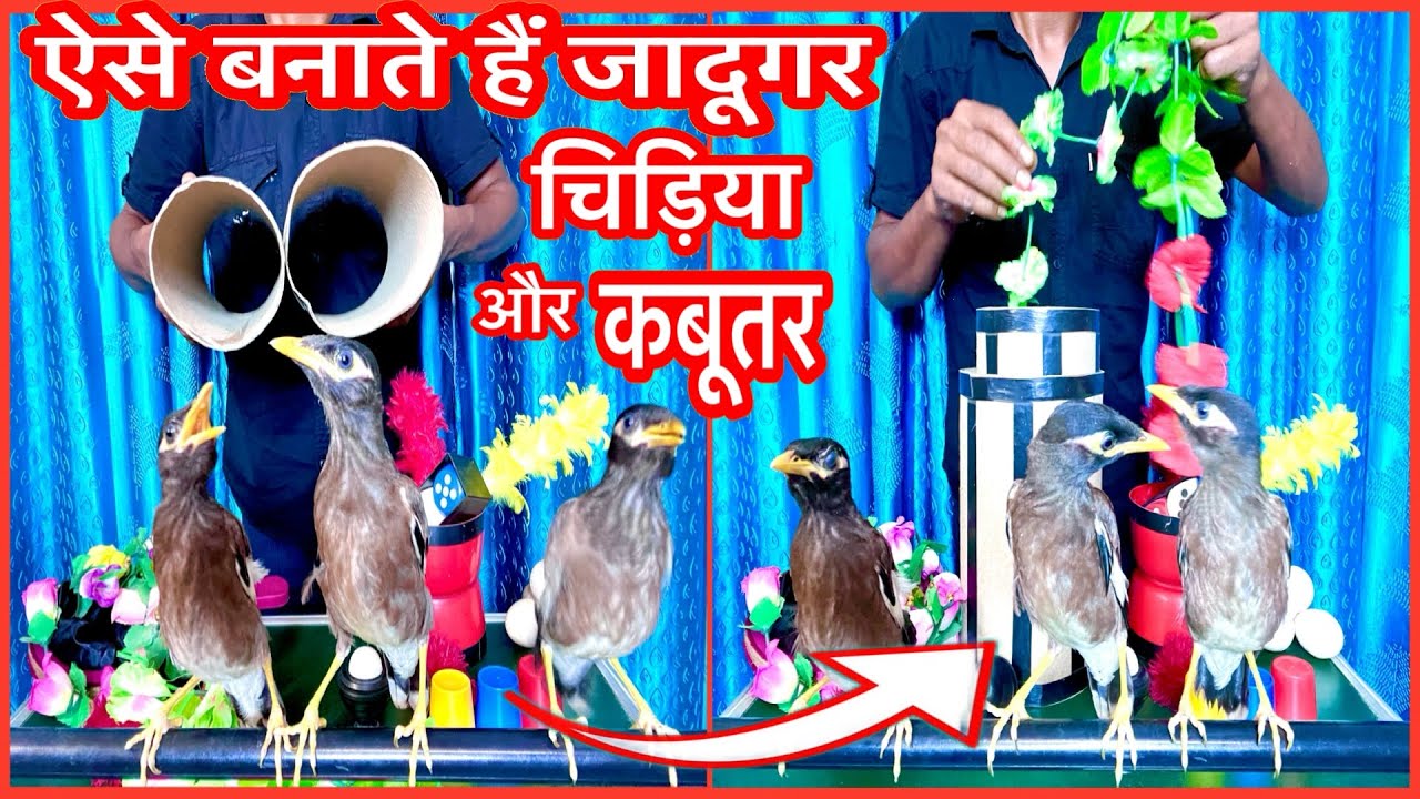 यह है 500 साल पुराना मैजिक नहीं देखा है तो देखकर सीख लो