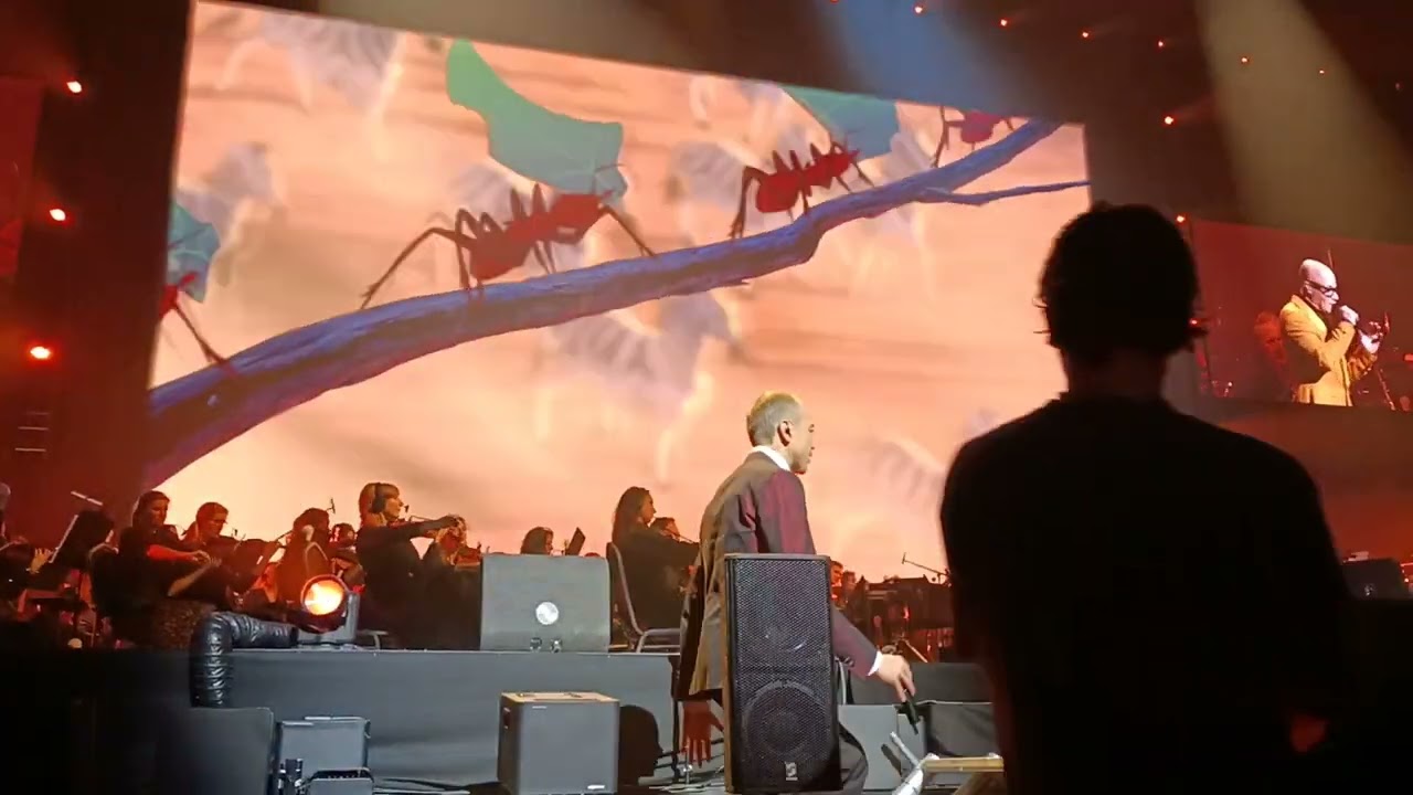 Circle of Life (Lion King) 'Jamai Loman & Stanley Burleson' Disney in Concert: Follow your Dreams