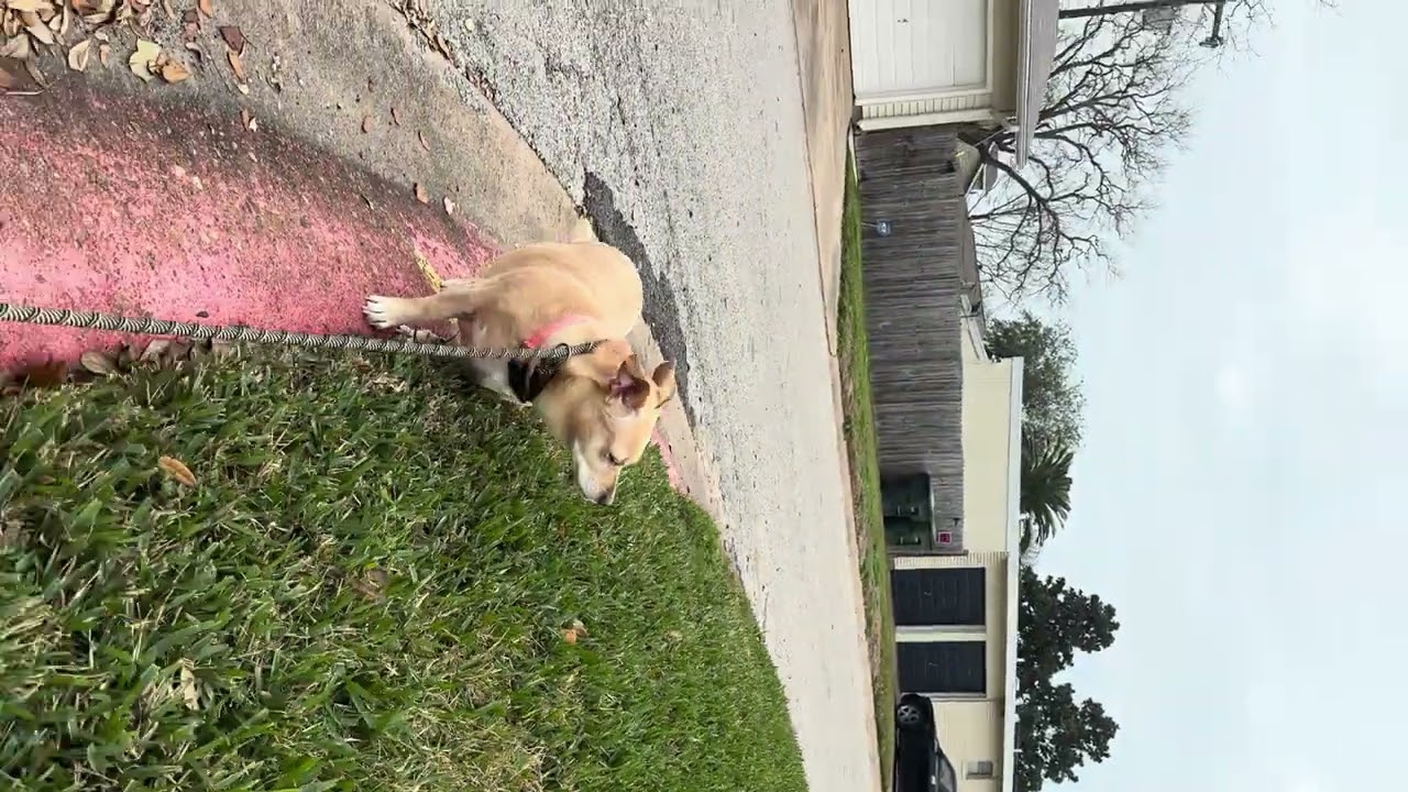 My mom told me it’s the best time to go for a quick moderate run lol