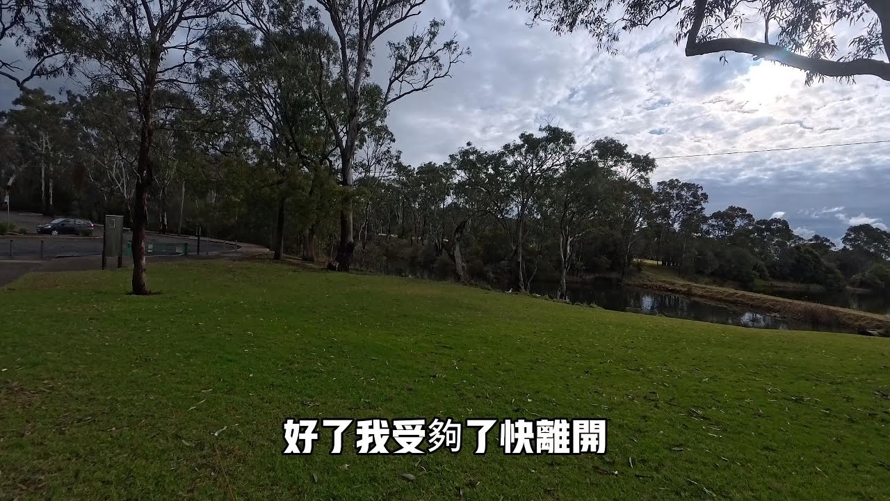 你以為國外的魚又大又好釣嗎?? 冬天讓你龜個夠  #苦命人#釣魚#紅鯉魚#底釣#路亞#澳洲#公園#湖泊#fishing
