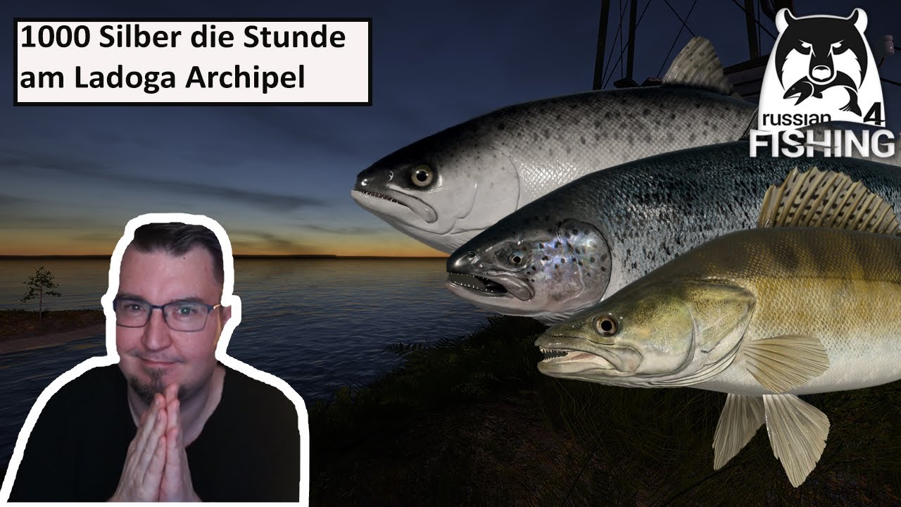 1000 Silber die Stunde am Ladoga Archipel - Lachse, Zander, Hecht | Russian Fishing 4 | Deutsch