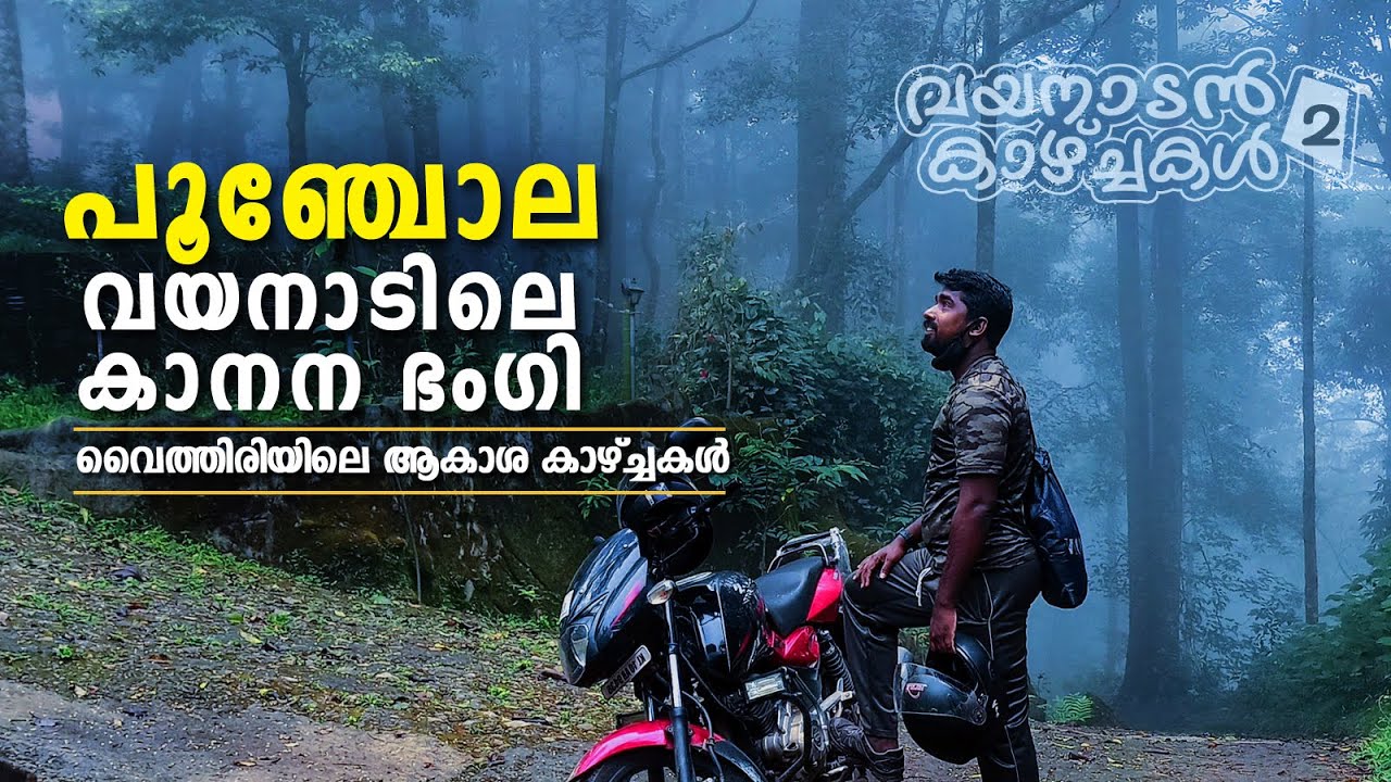 Punchily, Vythiri | Wayanad Tourist Places - Part 2