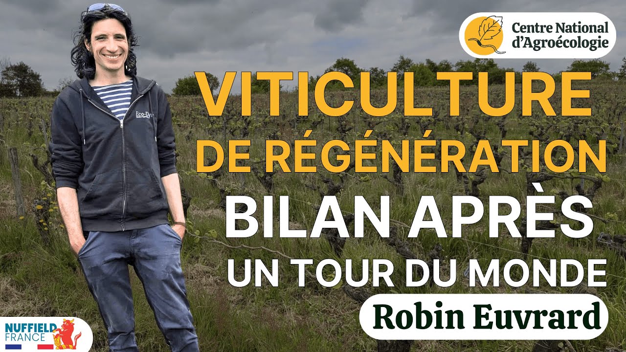 VITICULTURE DE RÉGÉNÉRATION, BILAN APRÈS UN TOUR DU MONDE