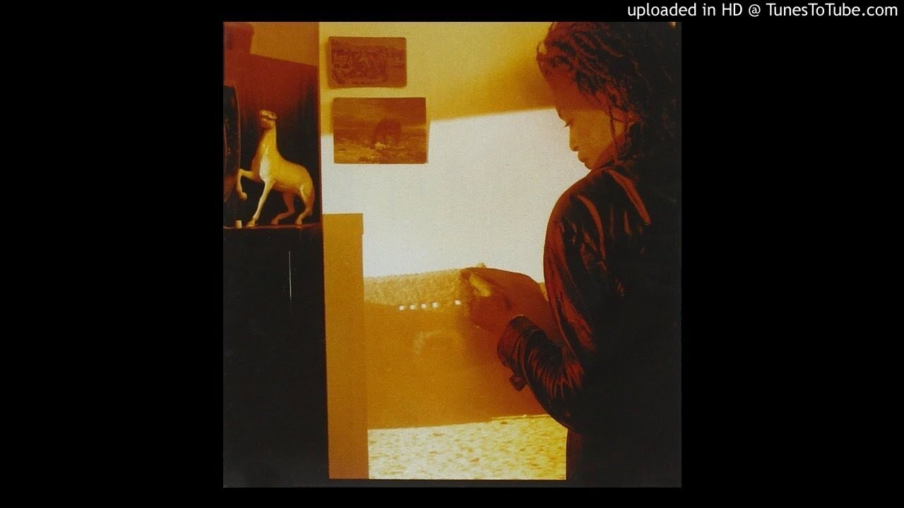 Kip Hanrahan - Aziz and Azizah (Continued)