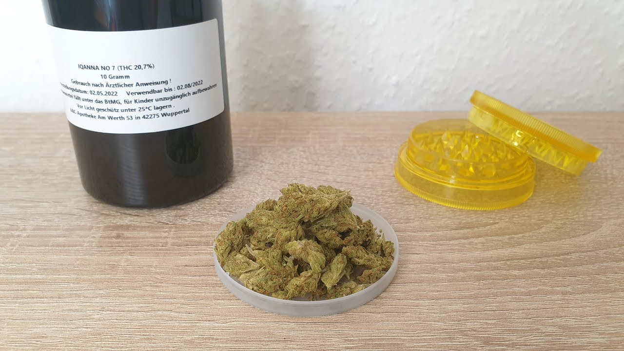 Med. C. 🥦 Sorten Review- Cantourage IQanna No.7 (4K)