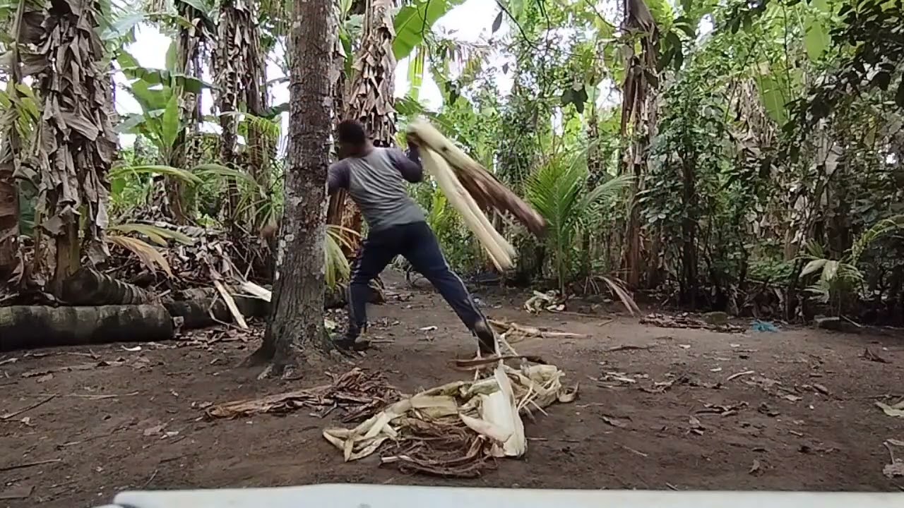 Senhor família dele