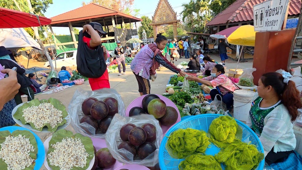 เทางามๆ แมงซอน ตลาดเช้า อำเภอเขมราฐ จังหวัดอุบลฯ#ของป่า #thaifood #อาหารตามฤดูกาล 