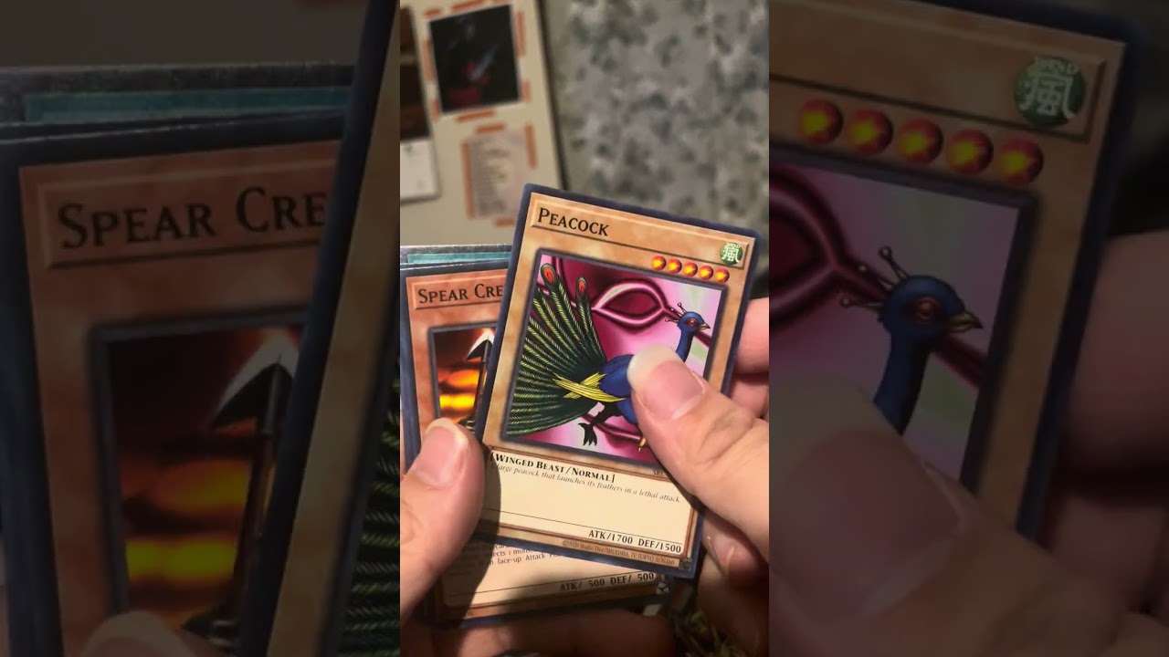 Legendary Collection 25th Anniversary Edition 