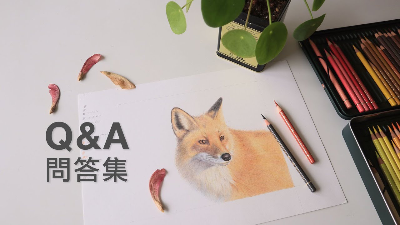 要如何畫出傳神的眼睛？尋找自己的風格和特色？選擇居住紐約的原因？畫畫的職業傷害｜Q&A問答集＋色鉛筆狐狸畫縮時影片（CC字幕）
