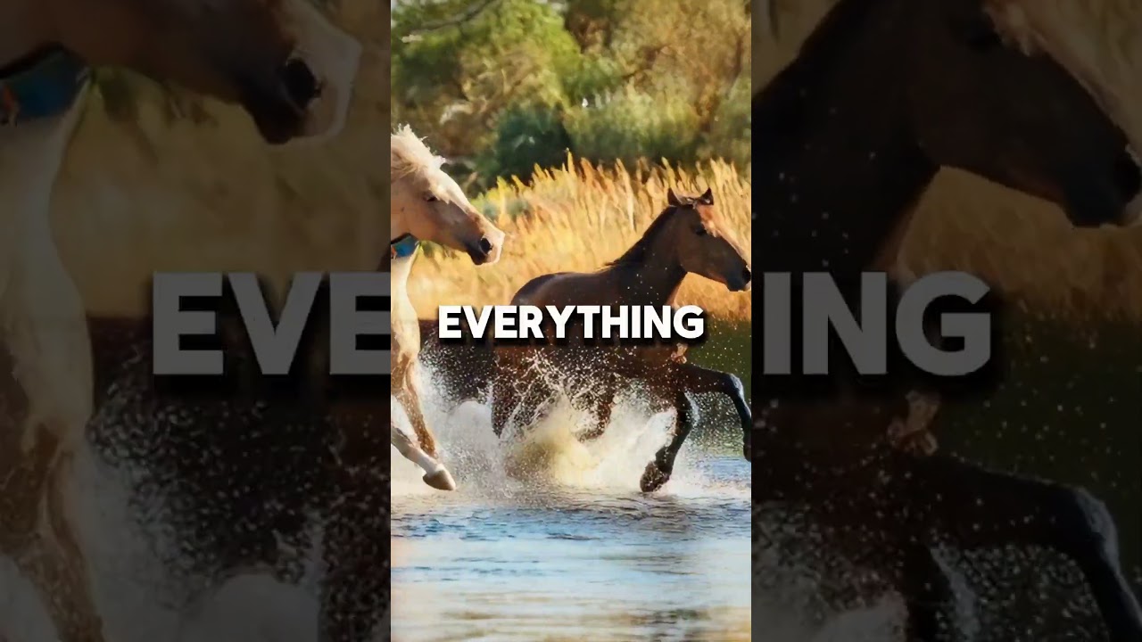 Be Like the Horse: Strong. Silent. Unstoppable #Animalwisdom