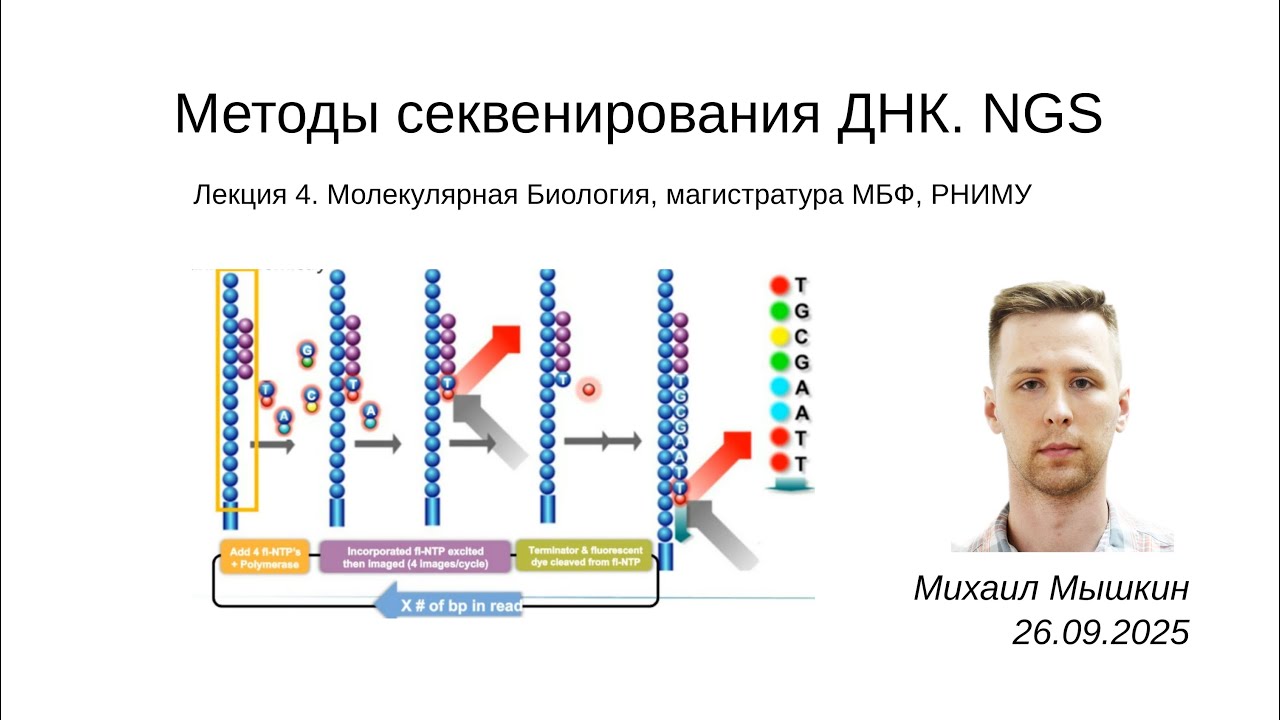 Молекулярная Биология | Лекция 04 | Методы секвенирования ДНК, NGS | РНИМУ, молбиол | Михаил Мышкин