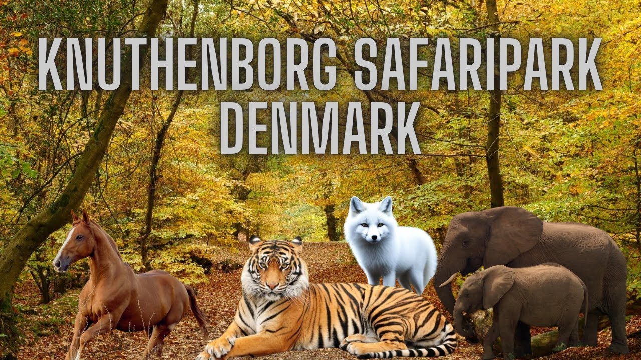 Knuthenborg Safaripark Denmark