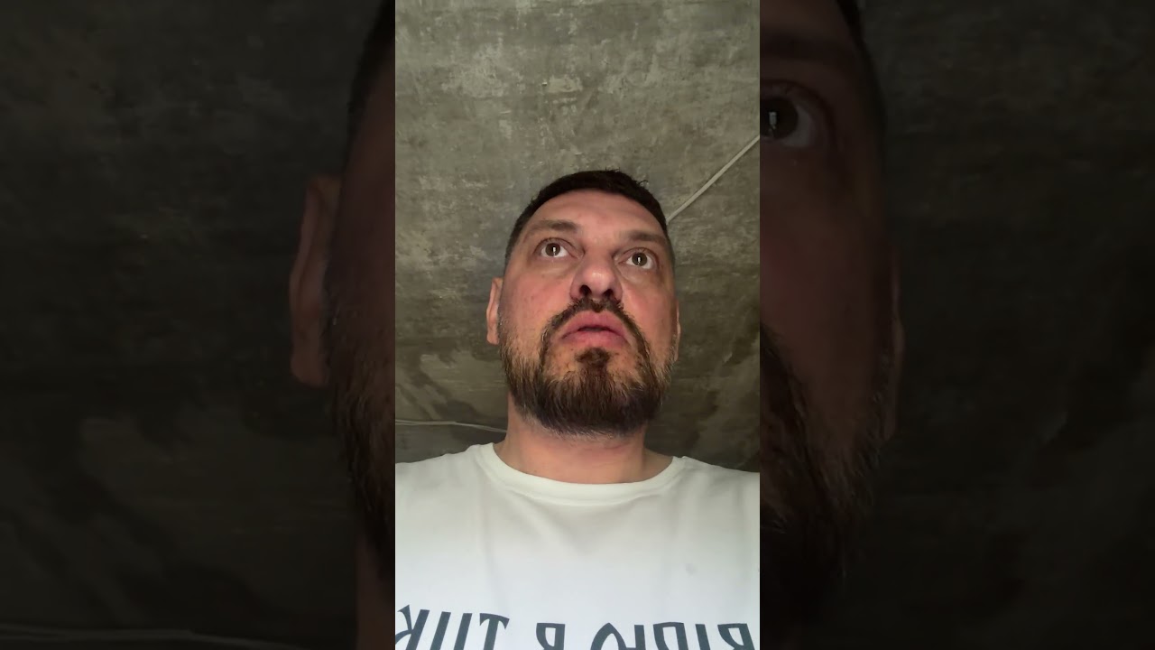 Поверніть Федорова!Фламінго. Вайлдберіз.