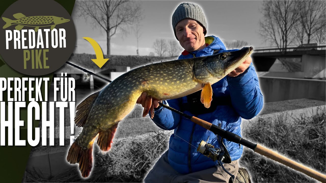 Wir haben eine Hechtrute gebaut ☝🏻 Die Predator Pike Light in Aktion!