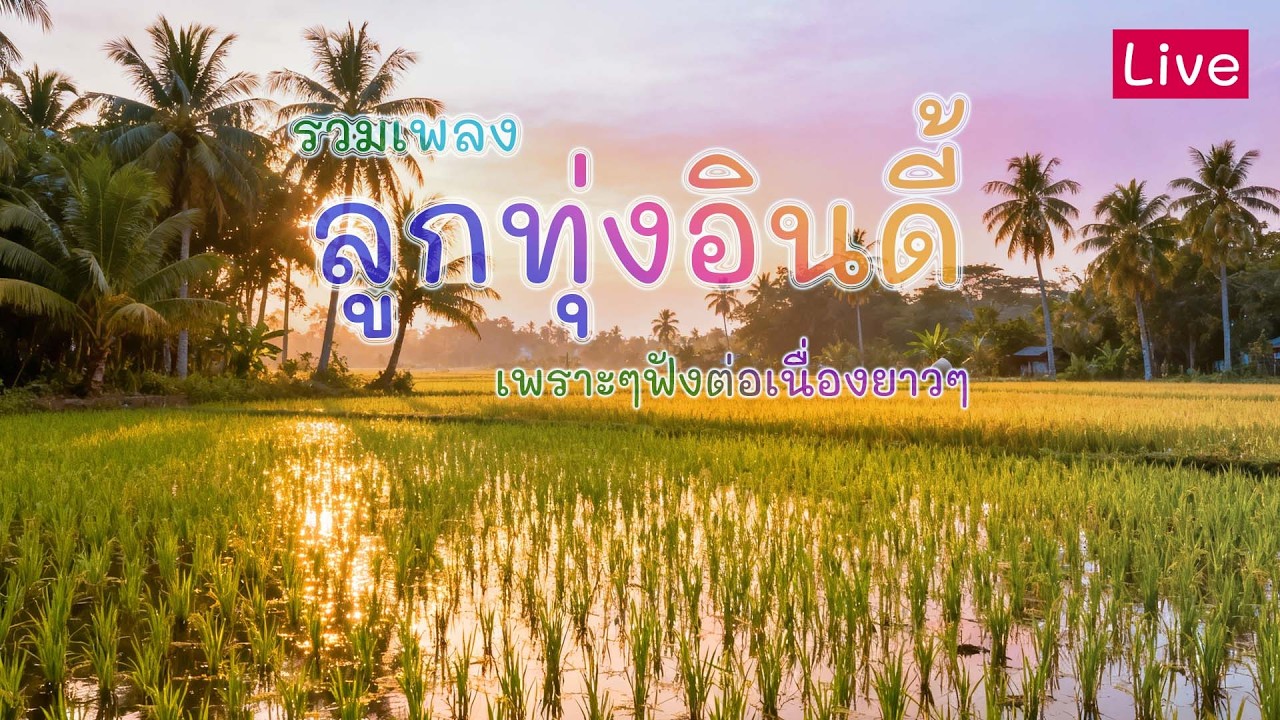 รวมเพลงลูกทุ่งเพราะๆ ฟังต่อเนื่องยาวๆ ฟังตอนทำงาน ฟังก่อนนอน