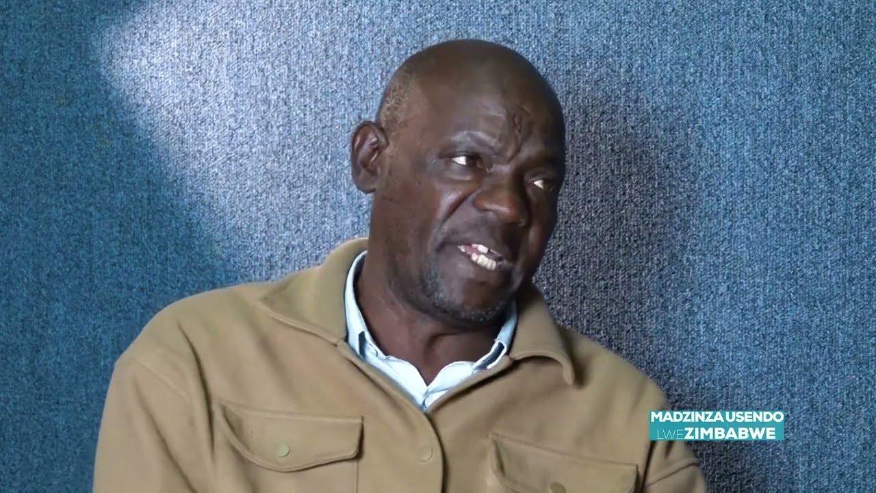 MADZINZA USENDO LWE ZIMBABWE  : The Origin of Totems: