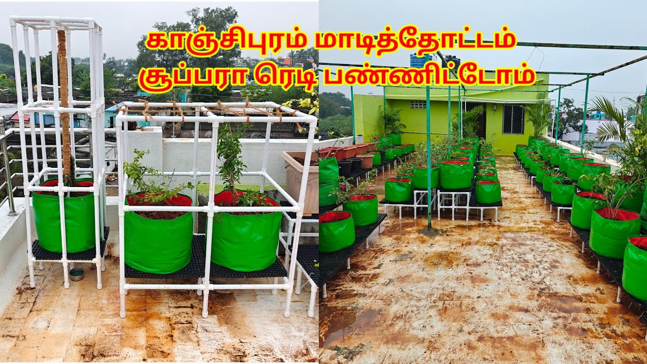 ஒரு வழியாக ரொம்ப கஷ்டப்பட்டு😅 காஞ்சிபுரம் மாடித்தோட்டம் வேலையை சூப்பரா முடிச்சிட்டோம்🥳 #மாடிதோட்டம் 