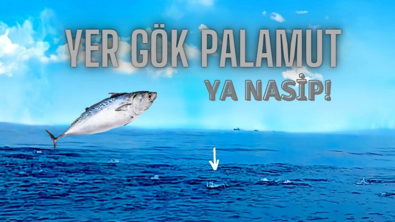 Palamut Avı | Palamut Oynakları | Karadeniz Balık Avı - Fishing