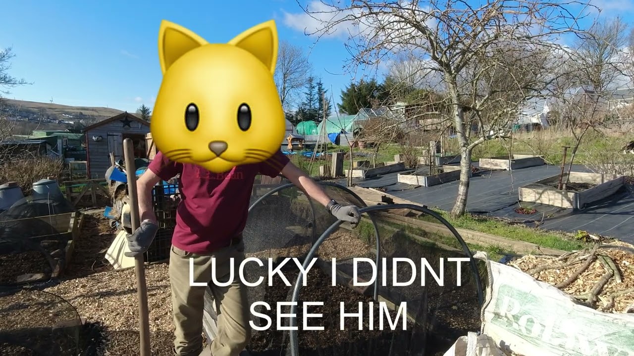 Lucky I did’nt See Him | Allotments For Fun and Food