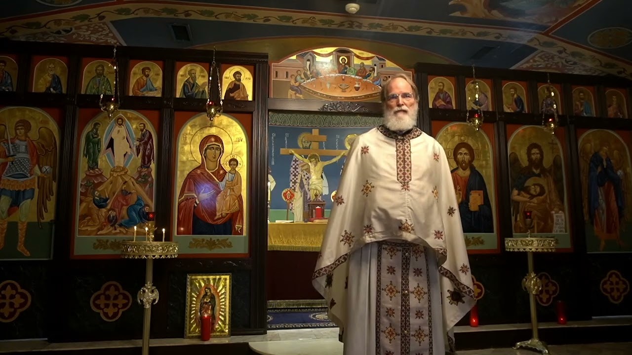 Homily 02.15.26