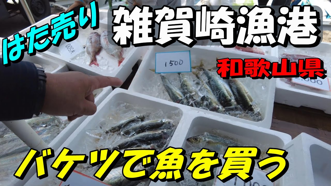 【雑賀崎漁港】漁師さんから直接、魚を買うことができる「はた売り」の漁港が和歌山県にあります