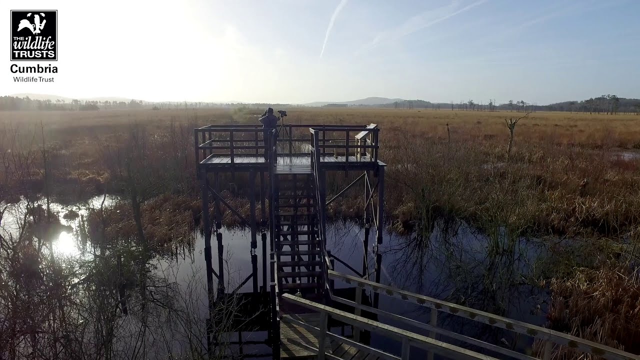 Nature Reserves 2020 (Cumbria Wildlife Trust)
