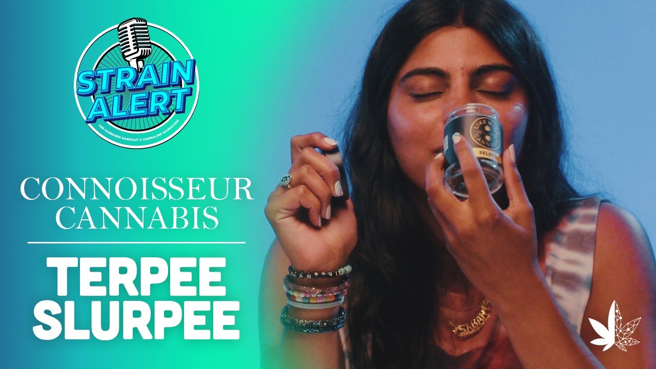 Strain Alert Ep 7 - THE CANNABIS HANGOUT TAKEOVER