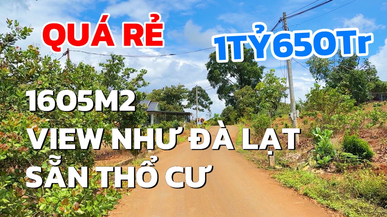 A Phong bán gấp đất 1605m2 sẵn thổ cư, view như đà lạt giá chỉ 1tỷ650tr ở BRVT