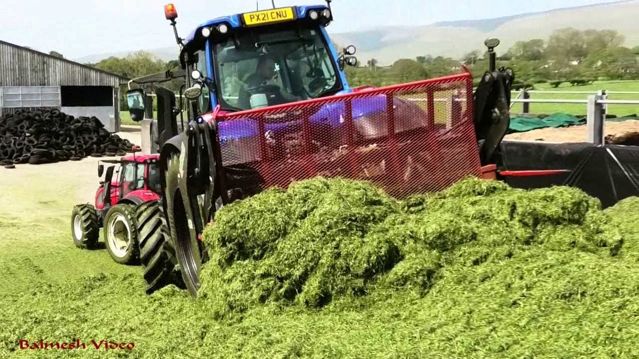 Silage '21 - Two  Valtras on the Clamp, Buck-raking!