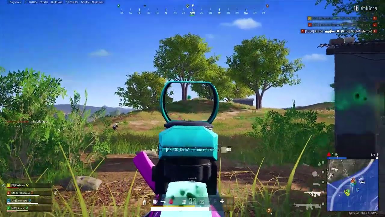 windieselxpubg