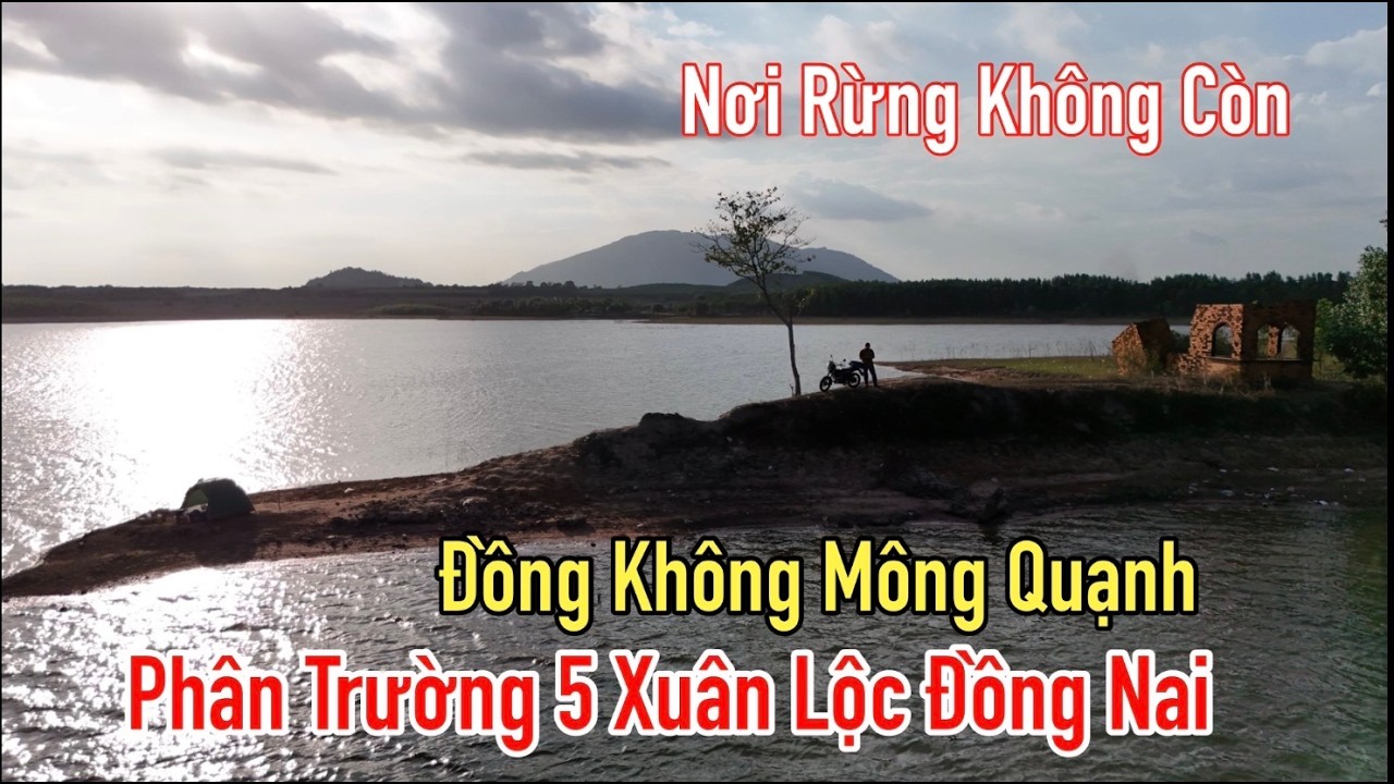 Cảnh đồng hoang cỏ cháy ở vùng Phân trường 5 ở Xuân Lộc Đồng Nai.