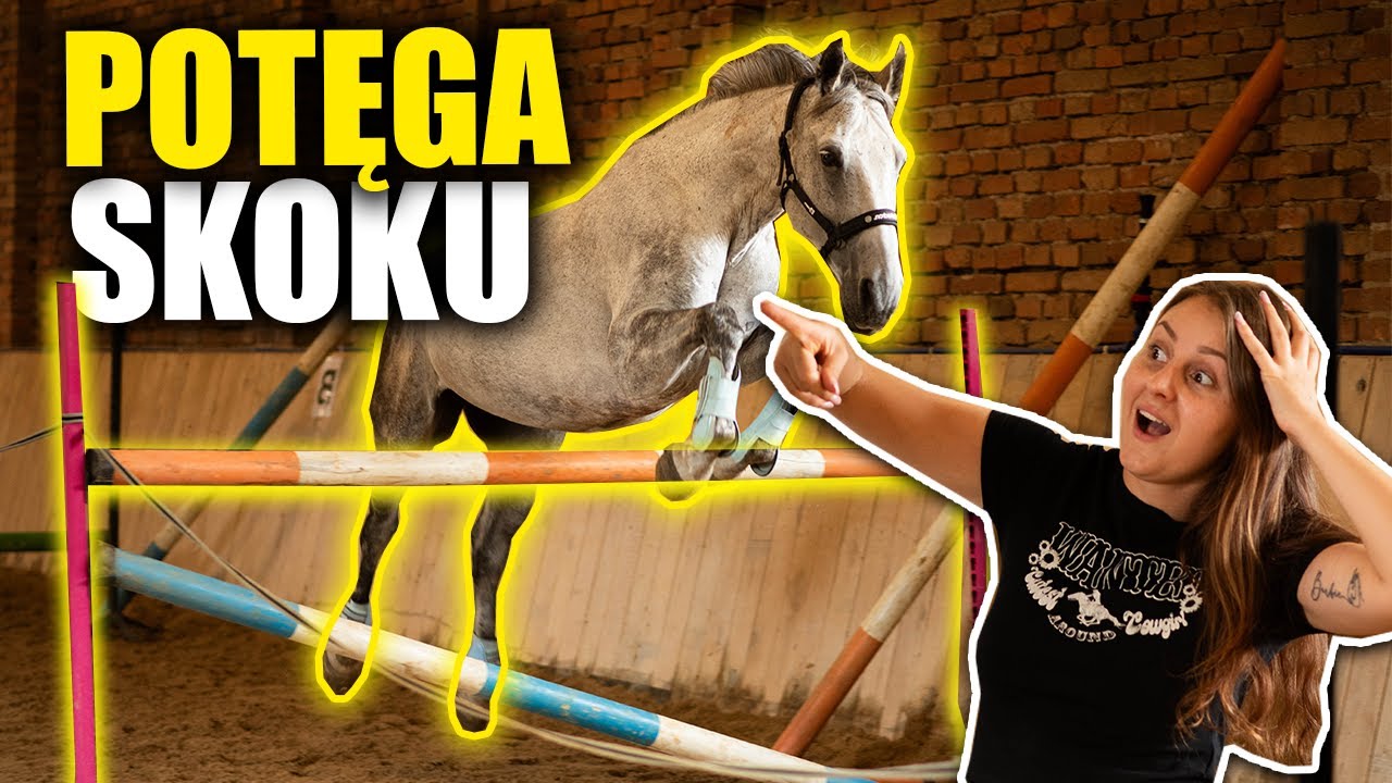 ILE SKOCZYŁ SIWY?😱🐴 -  POTĘGA SKOKU SIWEGO
