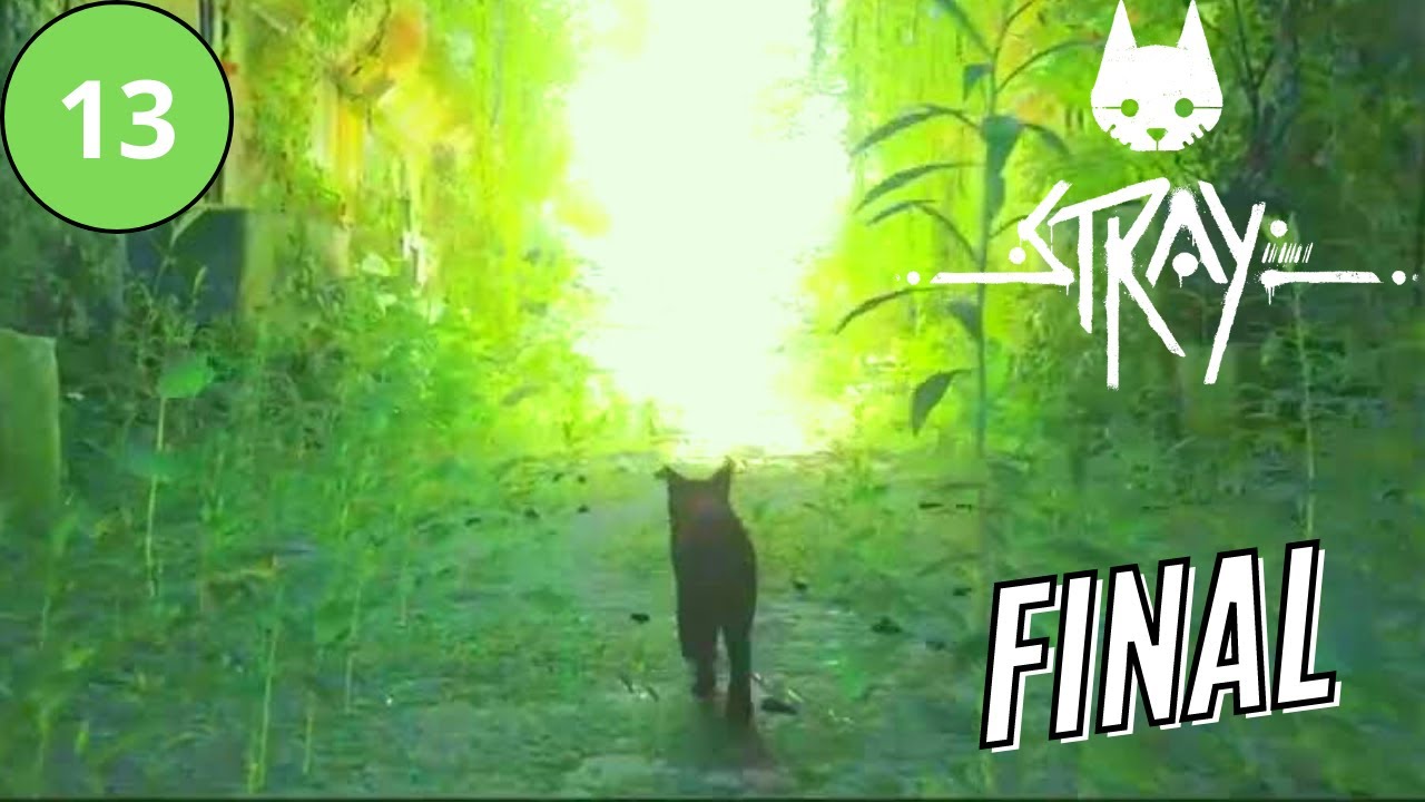 Stray - Como entrar na Sala de Controle | Final