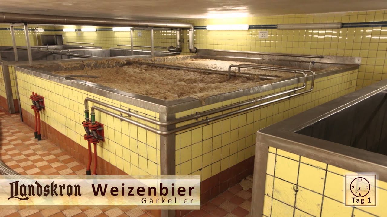 Landskron Weizenbier | obergärige traditionell handwerkliche Braukunst