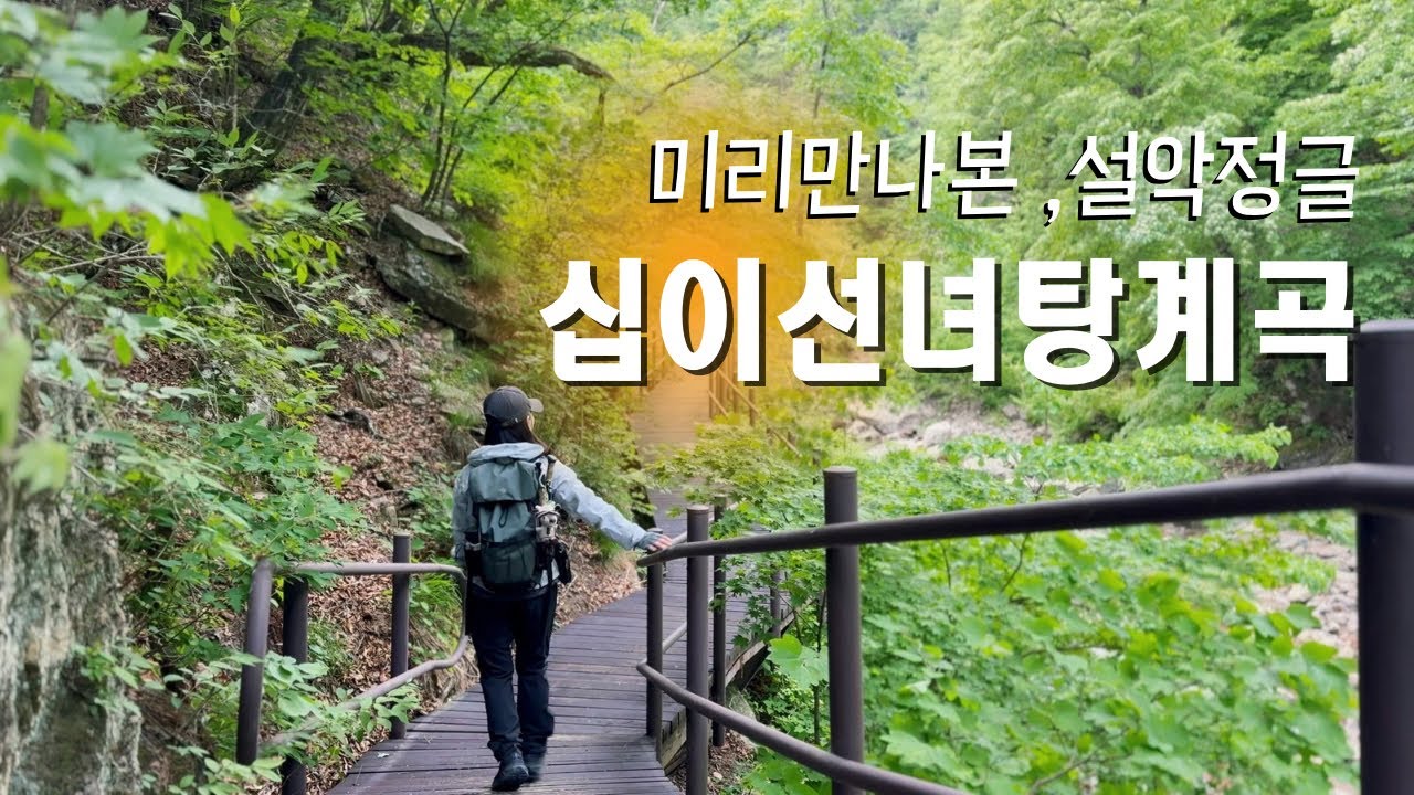 설악의 또다른 맛,12선녀탕계곡 의 밀림여행/남교리~장수대/혼산/등산브이로그