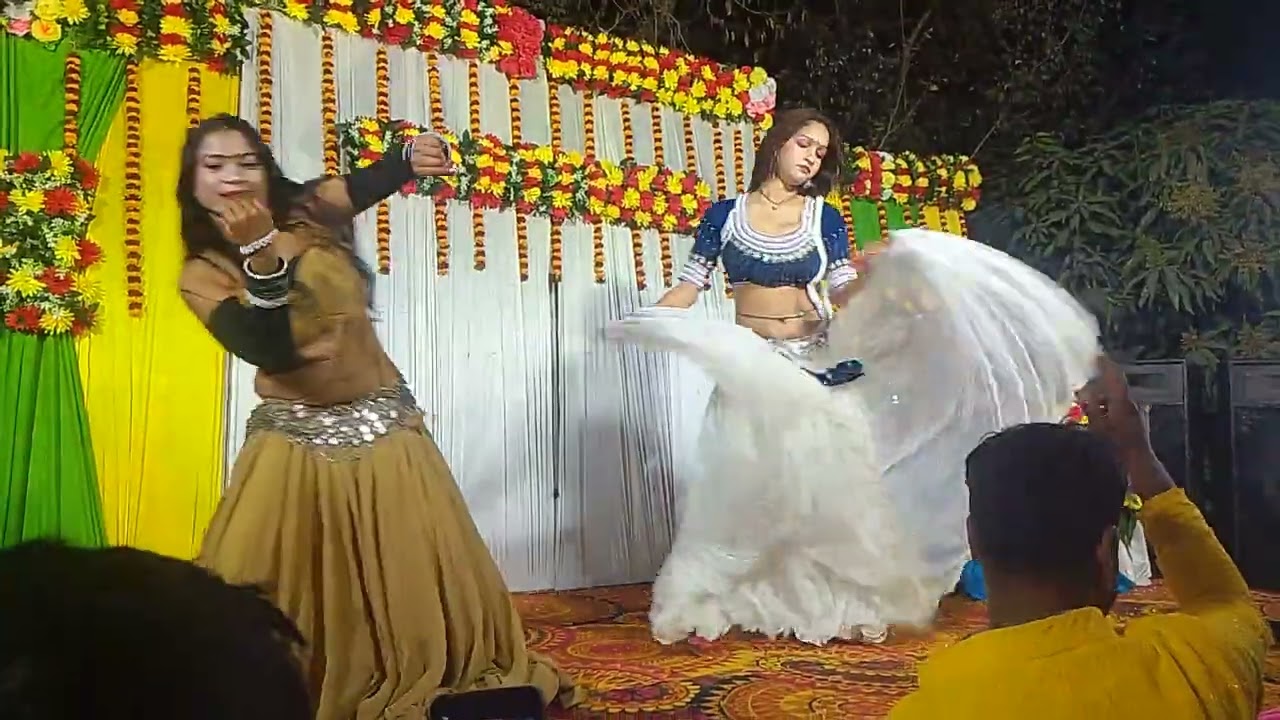 Singrauli jila dance (2)