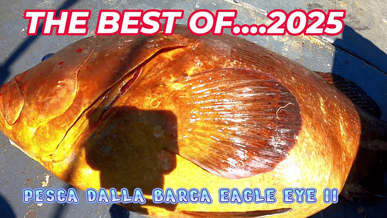 PESCA DALLA BARCA EAGLE EYE II ( THE BEST OF....2025)