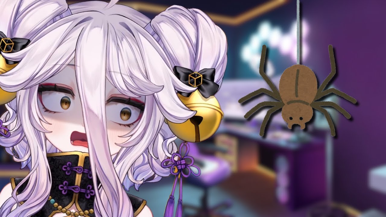 Henya’s Experience With Spiders